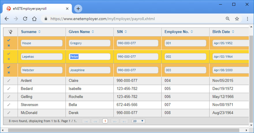 eNETEmployer's spreadsheet-like interface